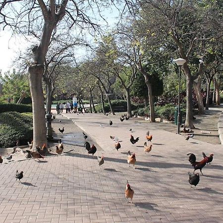 Apartamento Playa Benalmadena Las Golondrinas Zewnętrze zdjęcie